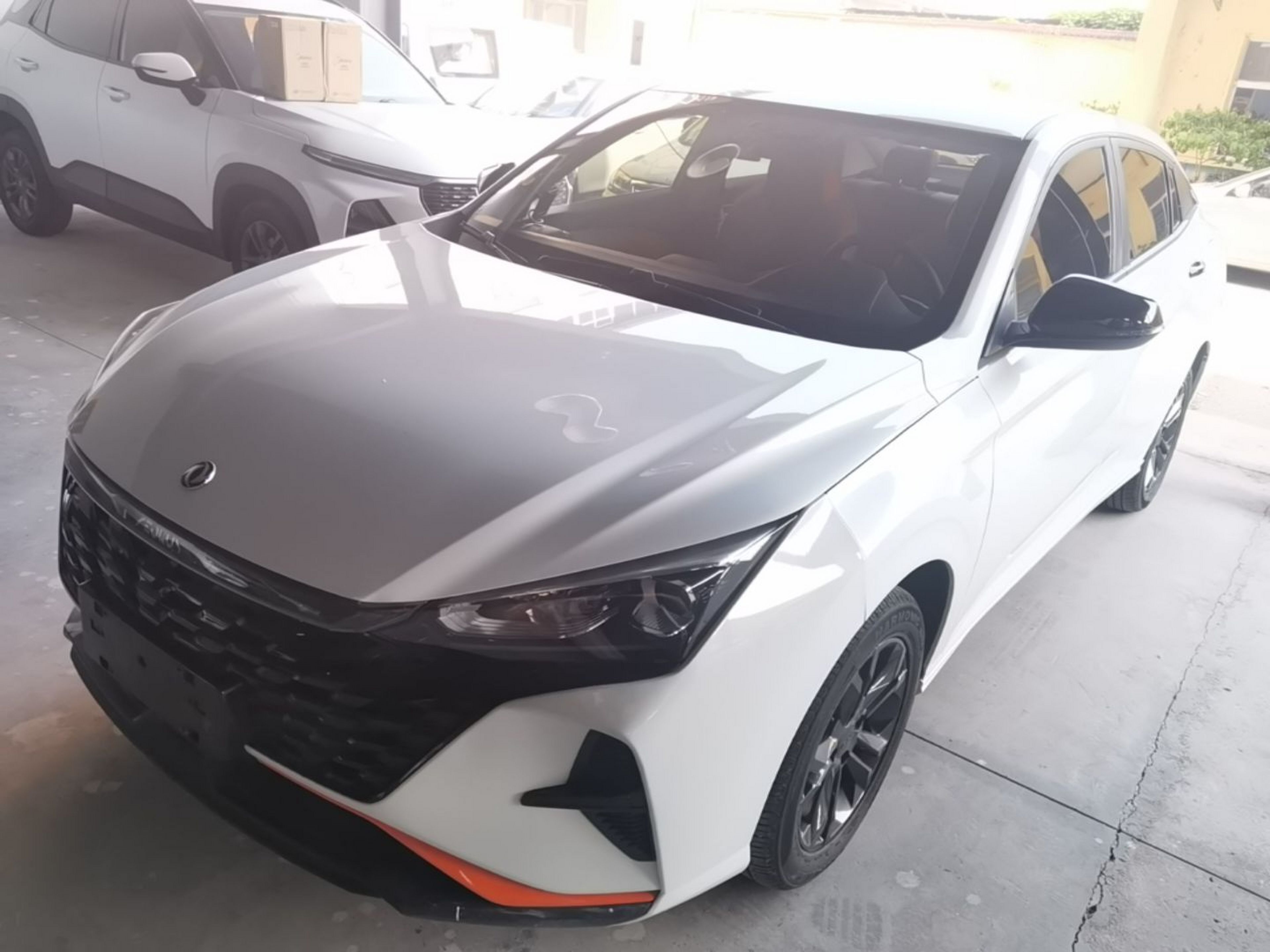 Under Front Bumper