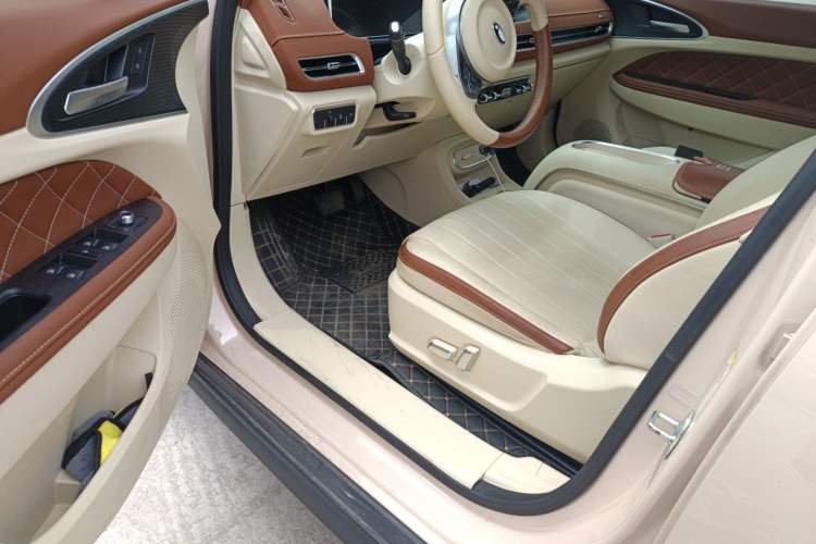 Used ORA Good Cat 2023 401 km Standard Range Luxury Version Lithium Iron Phosphate
