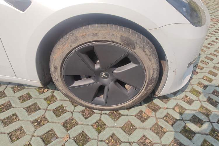 Used Tesla Model 3 2021 Standard Range Rear-Wheel Drive Upgraded Version 3D6
