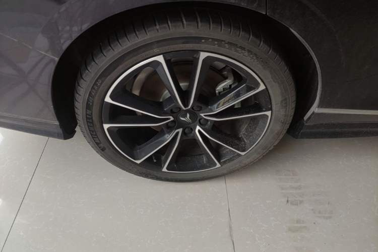 Used VOYAH PASSION 2024 PHEV Four-Wheel Drive Ultra-Long Range Flagship Model Exterior 5