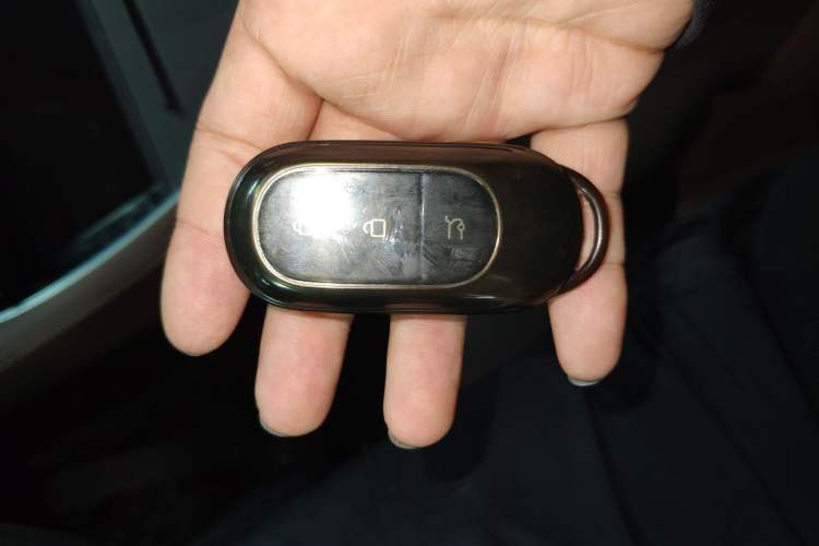 Used Leapmotor C11 2023 Pure Electric 500 Comfort Edition
