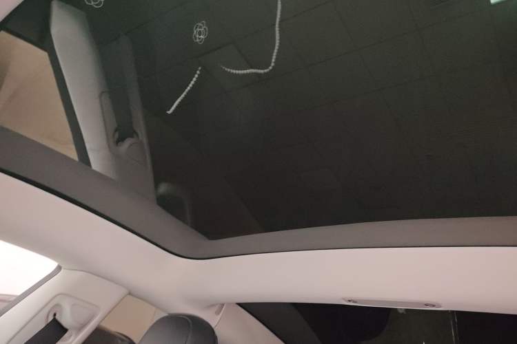 Used Tesla Model 3 2021 Standard Range Rear-Wheel Drive Upgraded Version 3D6 Headliner