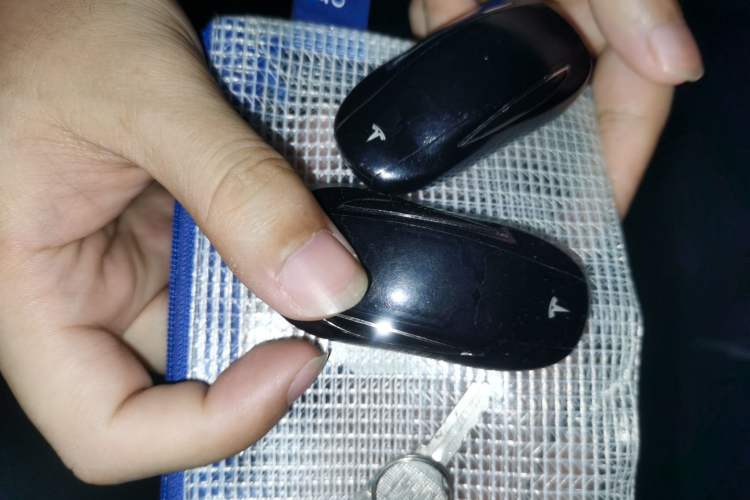 Used Tesla Model X 2017 X 100D Long Range Edition