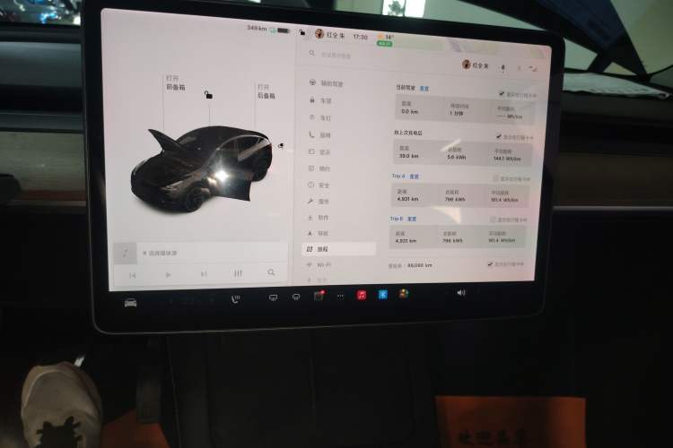 Used Tesla Model Y 2021 Standard Range Rear-Wheel Drive Version
