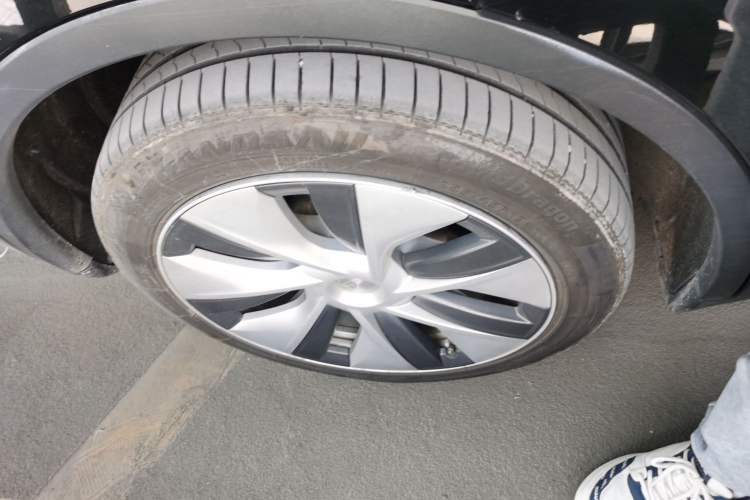 Used Tesla Model Y 2021 Standard Range Rear-Wheel Drive Version