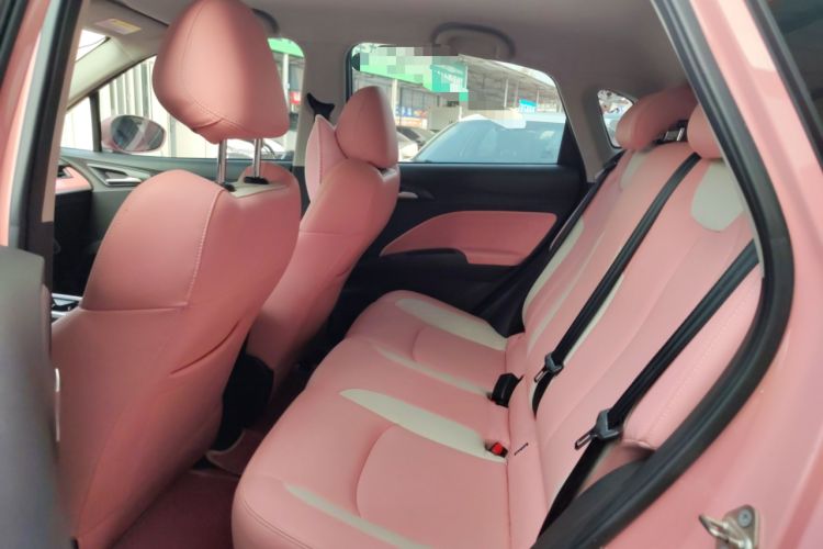 Used NETA V 2021 Witch Edition