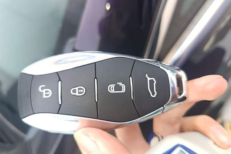 Used Hongqi HQ9 2023 2.0T Smart Connect Flagship Edition