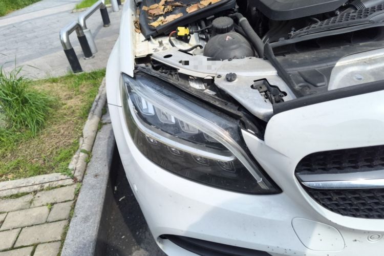 Used Mercedes-Benz C-Class 2021 C 260 L Sport Edition Star Collection