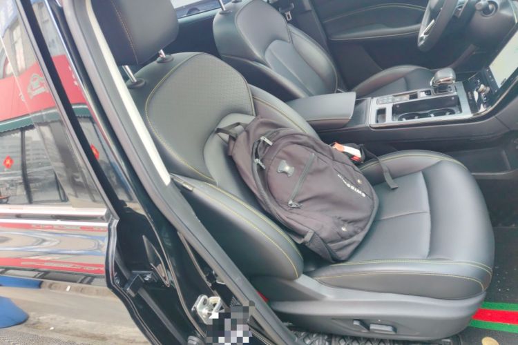 Used Roewe RX5 New Energy 2021 ePLUS National Trend Ronglin Luxury Edition Right Front Seat