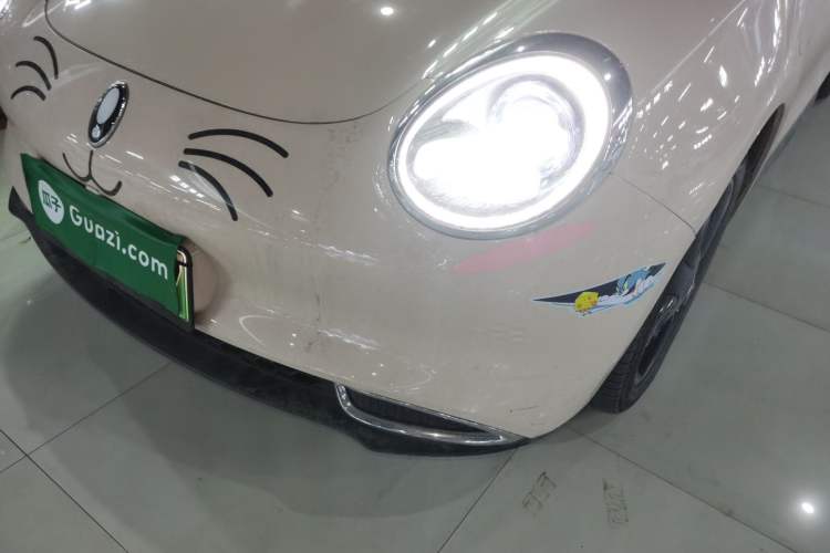 Used ORA Good Cat 2024 401 km Luxury Version
