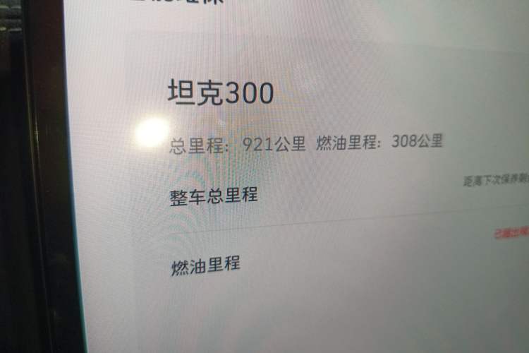 Used Tank 300 New Energy 2024 Hi4-T
