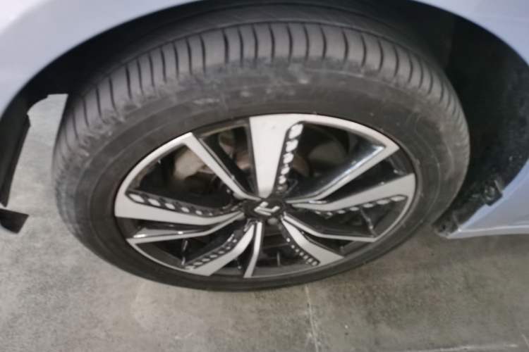 Used Rising ER6 2021 New Dynamic Edition 620km Smart Enjoyment Version
