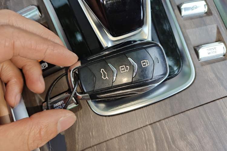 Used Landian E5 2024 Honor Edition 100KM Premium Model 5 Seats
