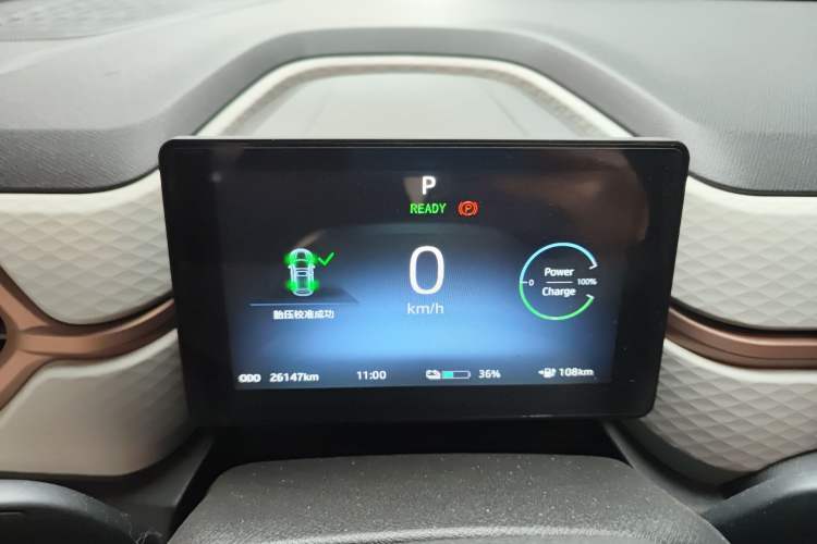 Used SOL E10X 2022 Flower Fairy Style Baby's Breath