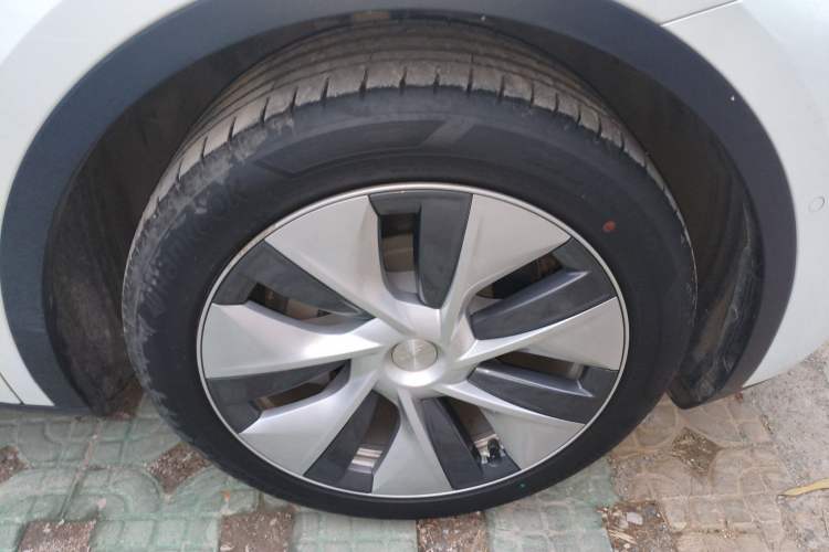 Used Tesla Model Y 2022 Rear-Wheel-Drive Version
