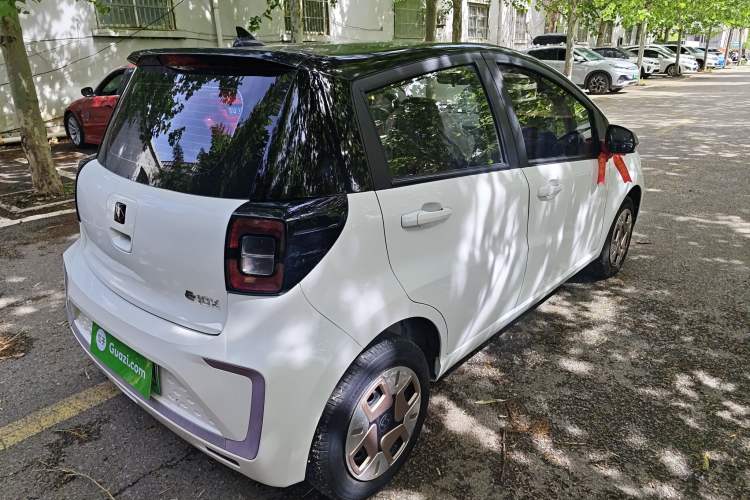 Used SOL E10X 2022 Flower Fairy Design Dandelion
