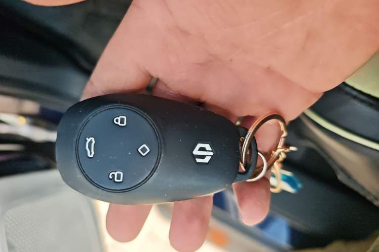 Used Leapmotor T03 2022 Hometown Jade Edition Vehicle Key