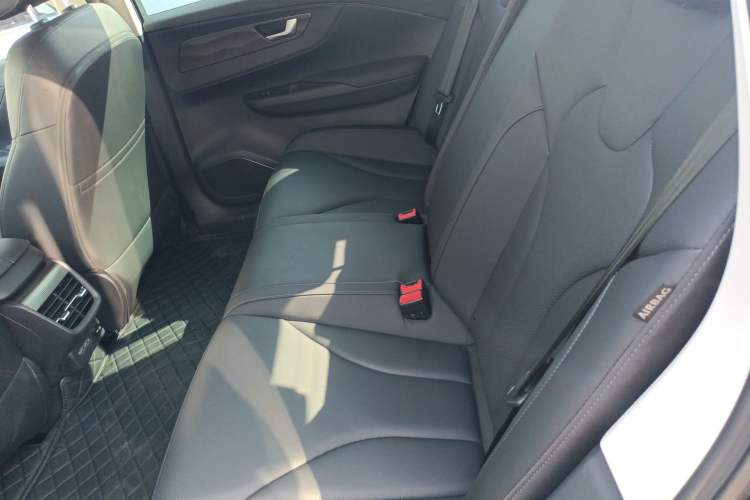 Used Hongqi E-QM5 2023 Revised Version Basic Travel Edition Left Rear Seat