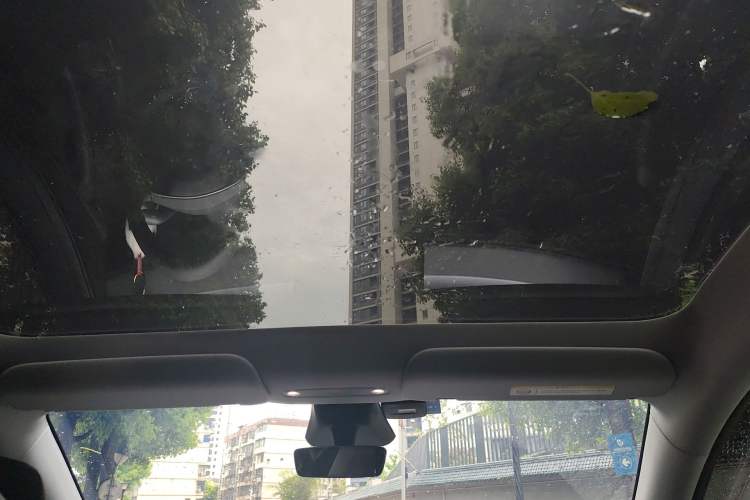 Used Tesla Model Y 2025 Rear-Wheel-Drive Version Headliner