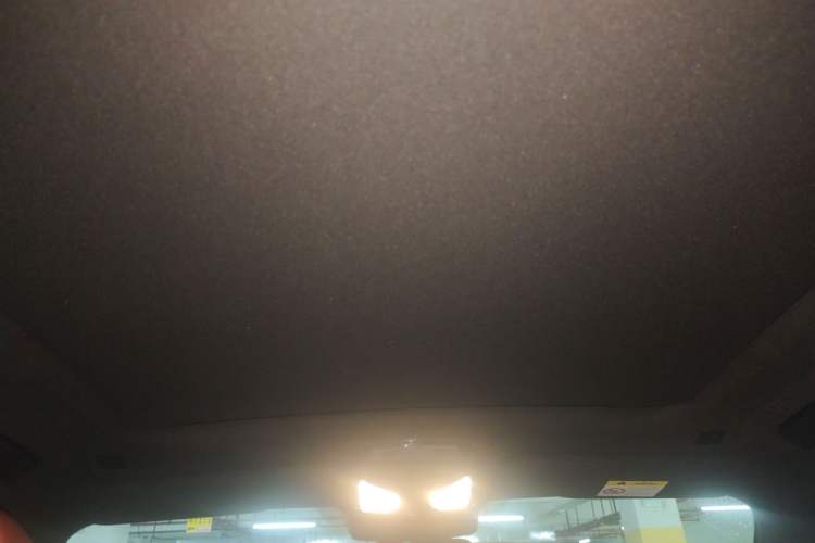 Used BMW X5 2023 xDrive 40Li M Sport Night Edition Package Headliner