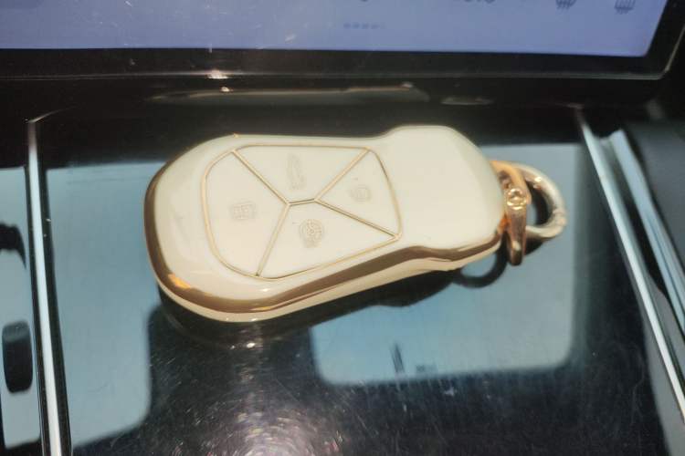 Used XPeng P5 2021 460G+ Interior 1