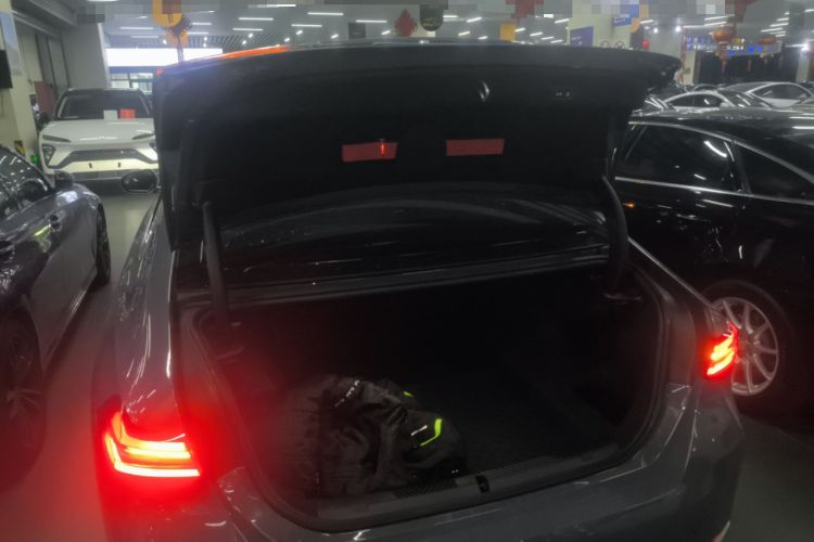 Used BMW 5 Series 2024 530Li Luxury Package Premium Edition
