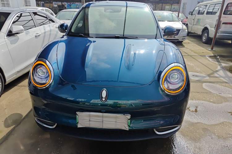 Used ORA Good Cat 2023 401 km Standard Range Luxury Version Ternary Lithium