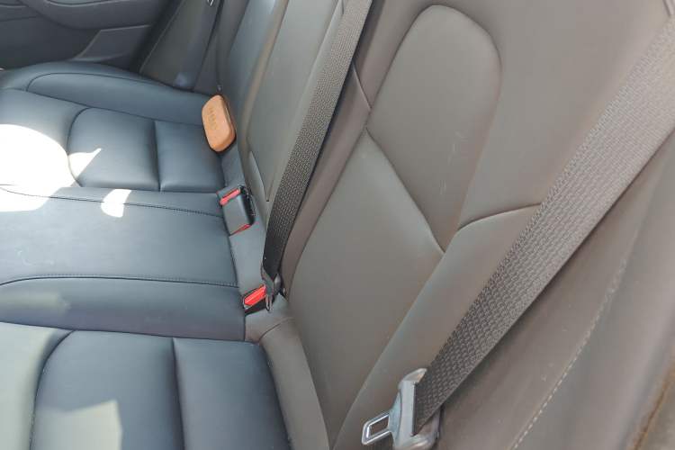 Used Tesla Model 3 2021 Standard Range Rear-Wheel Drive Upgraded Version 3D6