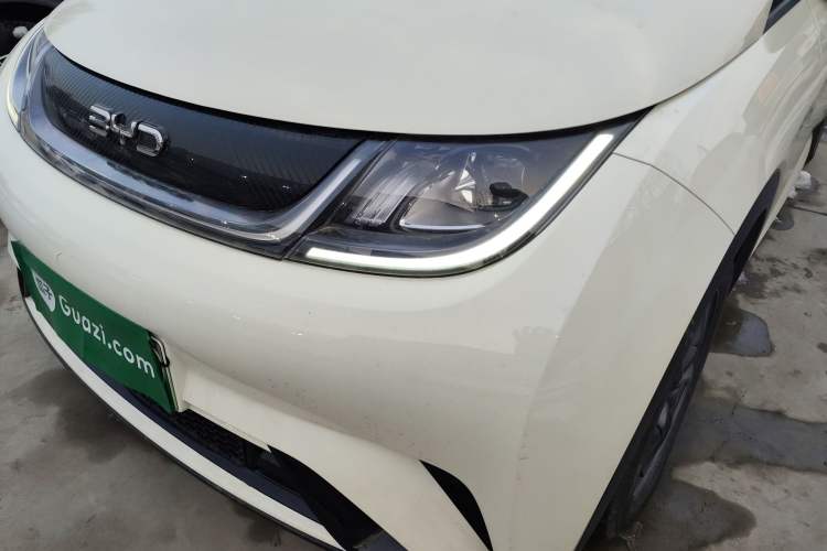 Used BYD Dolphin 2024 Honor Edition 302km Dynamic Version
