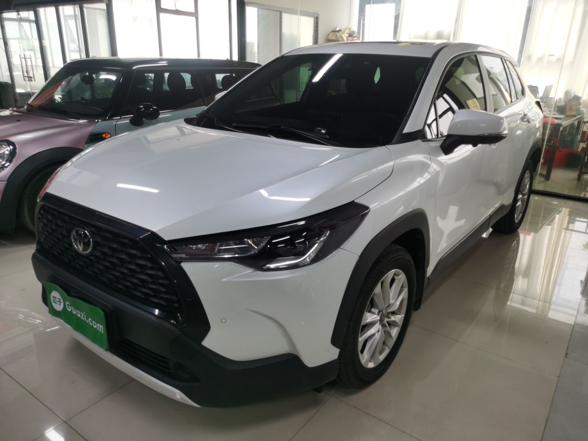 تحت مقدمة السيارة