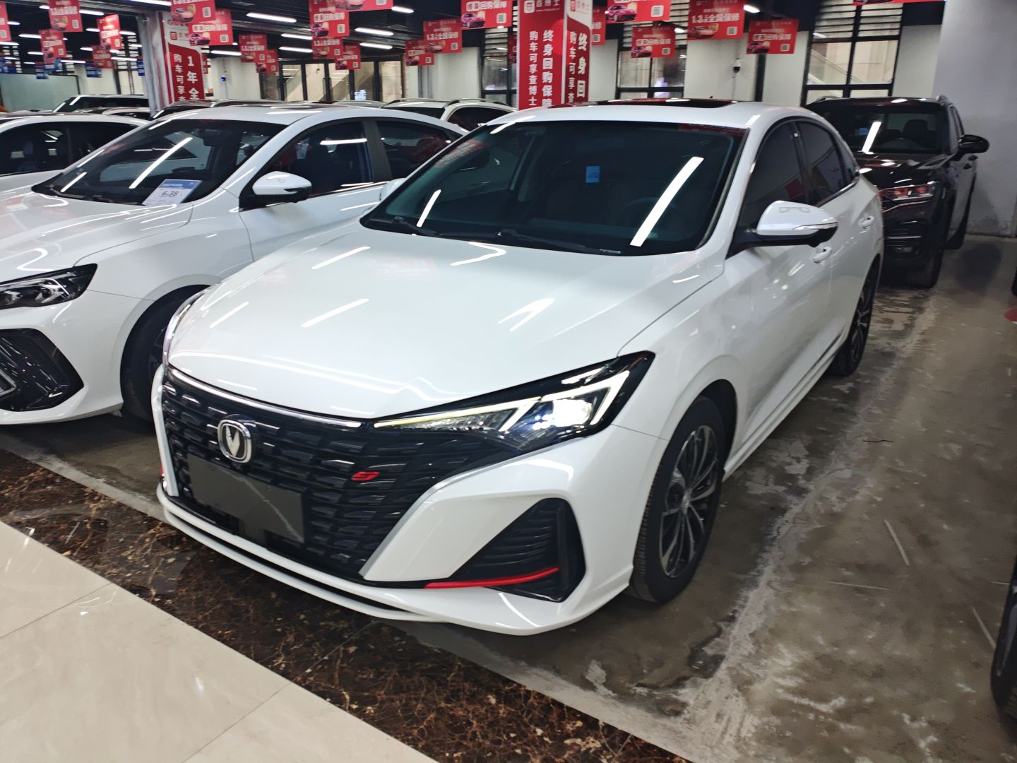 Parte inferior delantera