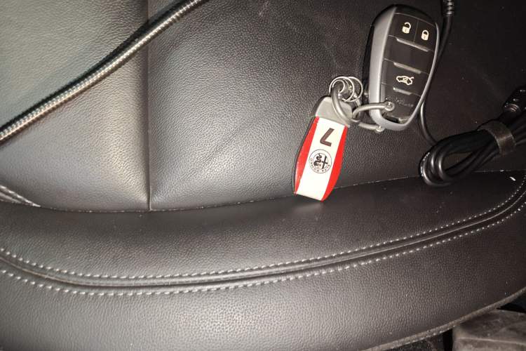 Used Alfa Romeo Stelvio 2017 2.0T 200HP Elite Edition
