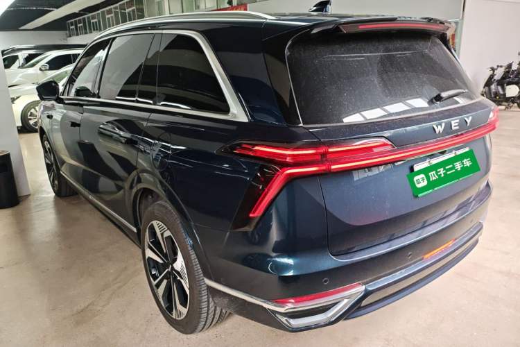 Used Wey Lanshan 2023 Four-Wheel Drive Ultra-Long Range Version