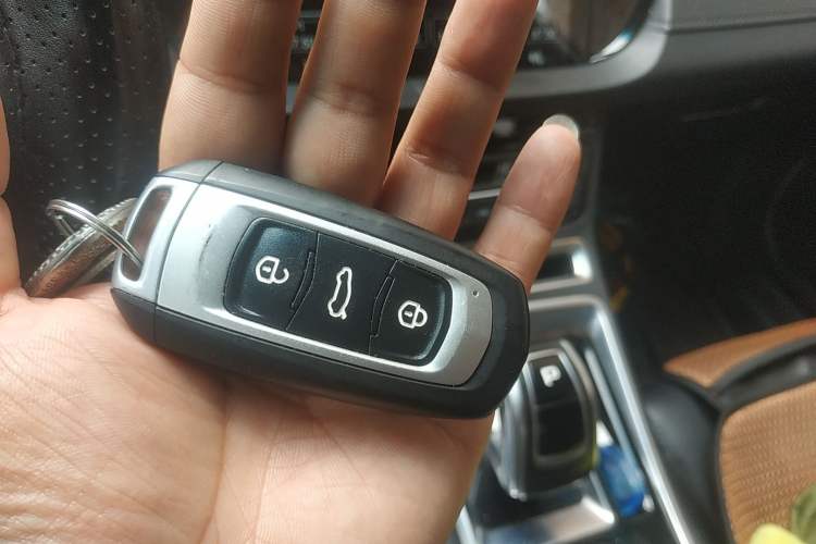 Used Geely Auto Emgrand New Energy 2018 EV450 Ambition Model