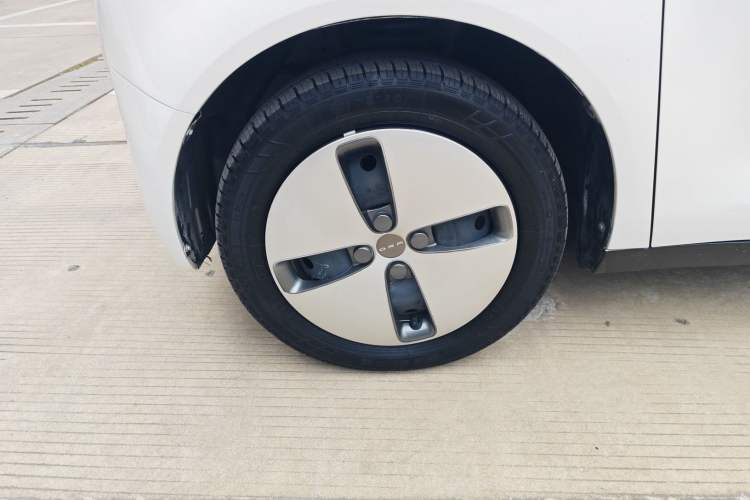 Used ORA Black Cat 2021 301km Cute Pet Edition