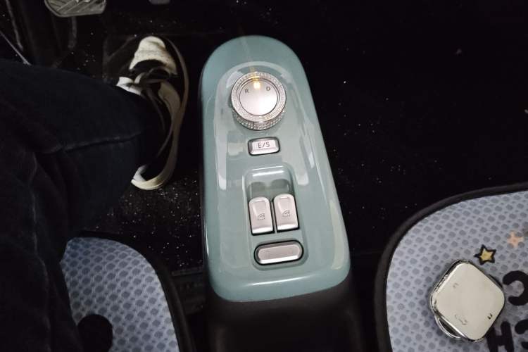 Used Qiyuan Lumin 2024 301km Launch Edition