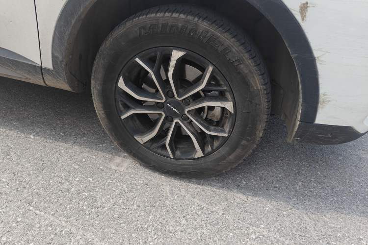 Used Haval H6 2021 National Trend Edition 1.5T Automatic Urban Version
