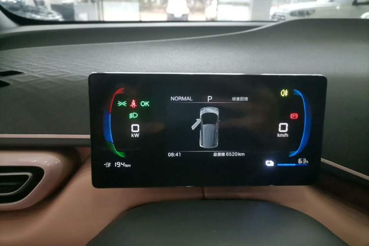 Used BYD Seagull 2025 305km Active Version