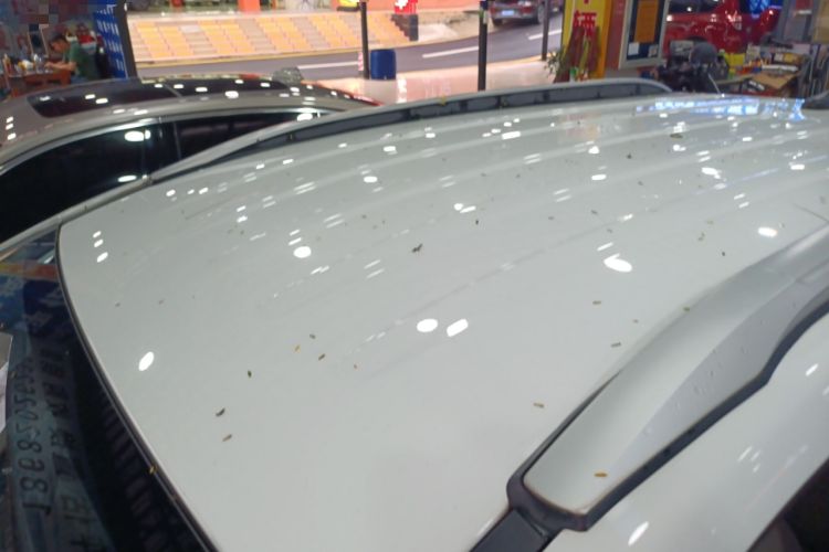 Used BYD Yuan Pro 2021 "Love for a Lifetime" Edition
