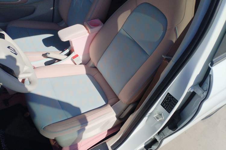 Used Leapmotor T03 2024 200 Lite Edition Left Front Seat