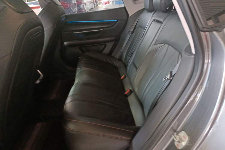 Used XPeng P7 2020 670N Left Rear Seat