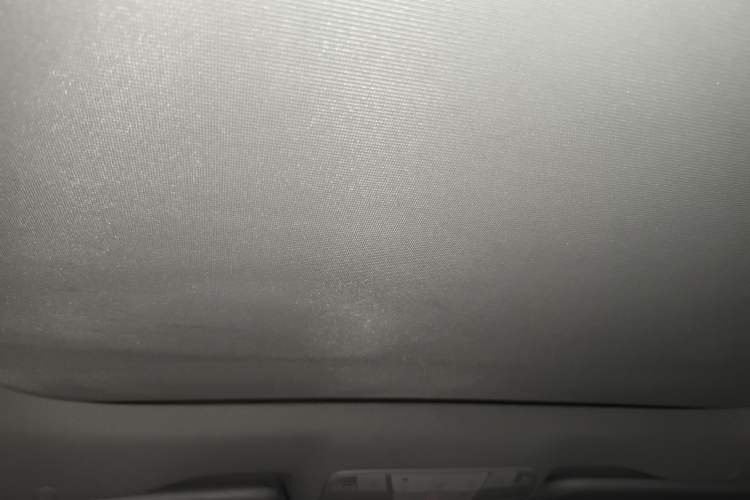 Used Mercedes-Benz E-Class 2019 E 300 L Sport Luxury Edition Headliner