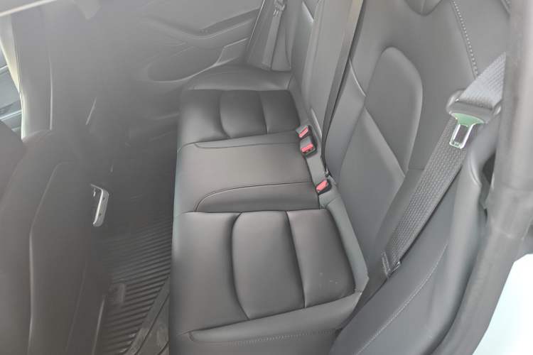 Used Tesla Model 3 (Import) 2019 Standard Range Rear-Wheel Drive Upgraded Version (52 kWh)