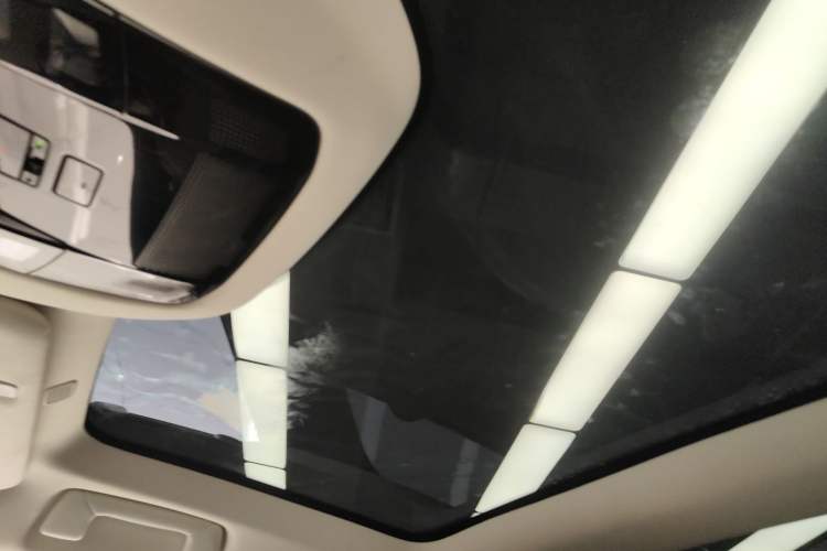 Used Lexus RZ 2023 450e All-Wheel Drive Luxury Edition Headliner