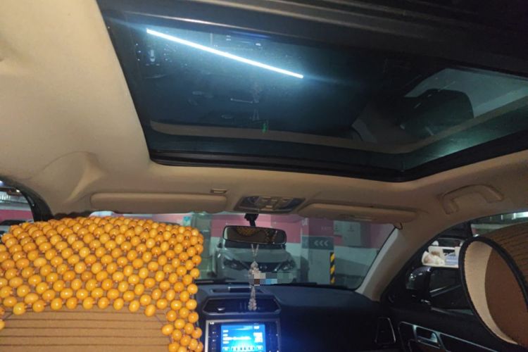 Used Haval H6 Coupe 2016 Blue Label 1.5T Automatic Two-Wheel Drive Urban Model Headliner