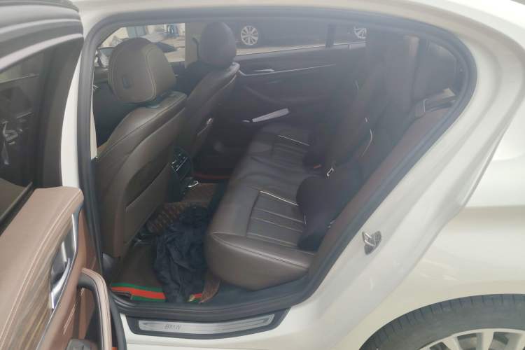 Used BMW 5 Series New Energy 2020 530Le Luxury Package