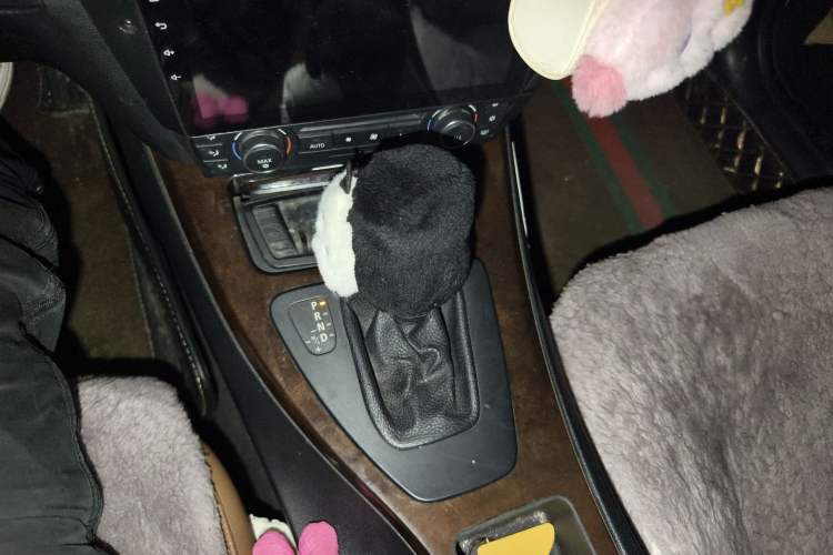 Used BMW 3 Series 2010 320i Sport Edition Gear Lever