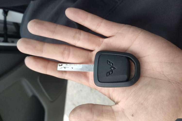 Used Wuling Hongguang 2021 1.5L Facelifted S Comfort Version with Electric Power Steering LAR Vehicle Key