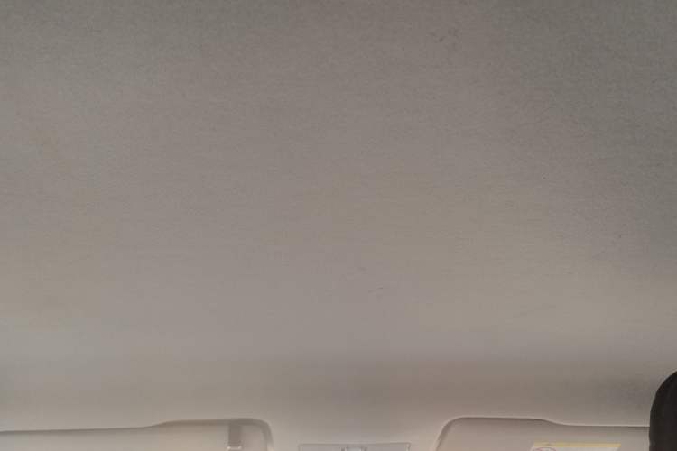 Used Volkswagen Santana 2021 1.5L Automatic Fashion Edition Headliner