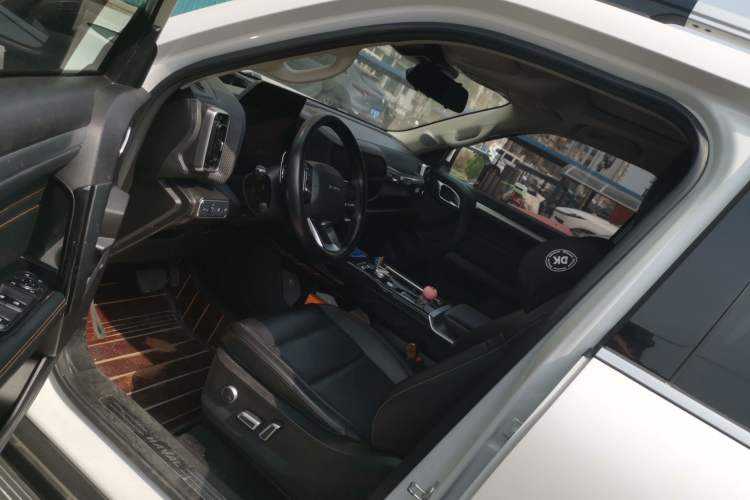 Used Haval DARGO 2021 2.0T DCT Two-Wheel Drive Chinese Mastiff Edition
